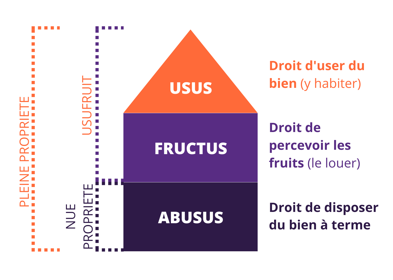 Schema